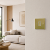 1 Gang 2 Way 10 Amp Light Switch Polished Brass
