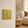 1 Gang 2 Way 10 Amp Light Switch Polished Brass
